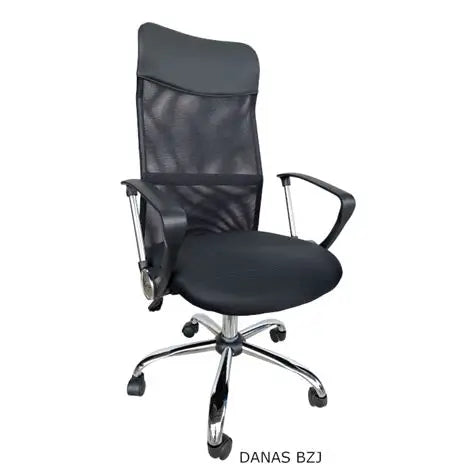 DANAS BZJ